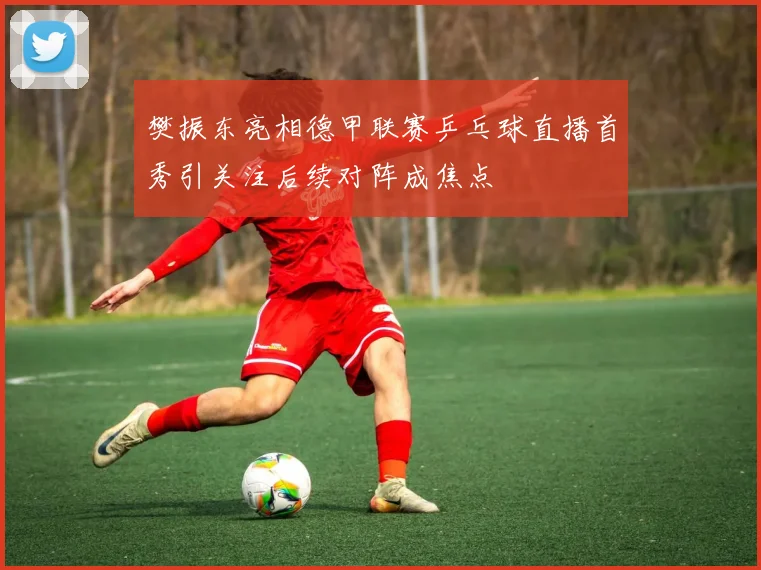 樊振东亮相德甲联赛乒乓球直播首秀引关注后续对阵成焦点