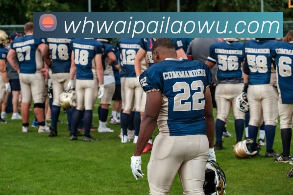 九游j9官网登陆品牌故事