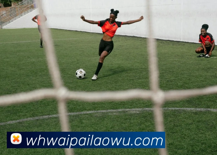 多媒体互动体验